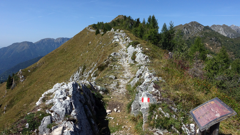 2017-08-30_122345 trentino-suedtirol-2017.jpg - Trodo dei fiori - Bergwanderweg am Passo Brocon                               